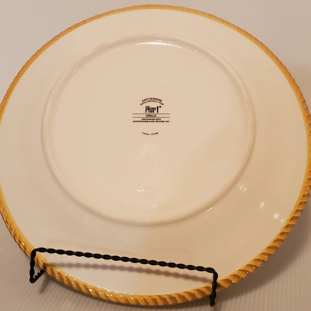 Pier 1 Imports ORALIA Dinner plate 11 5/8